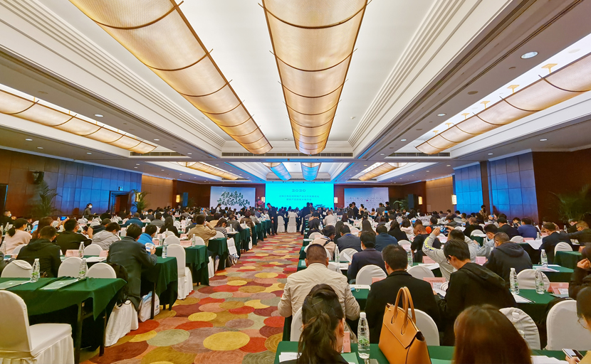 1607324570379858.jpg 1605259012771387.jpg