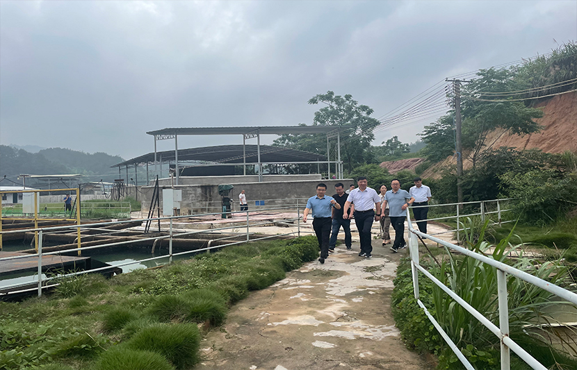 1623068695943557.jpg 33.jpg