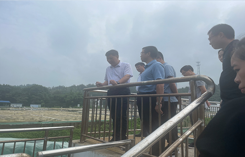 1623068716495424.jpg 99.jpg